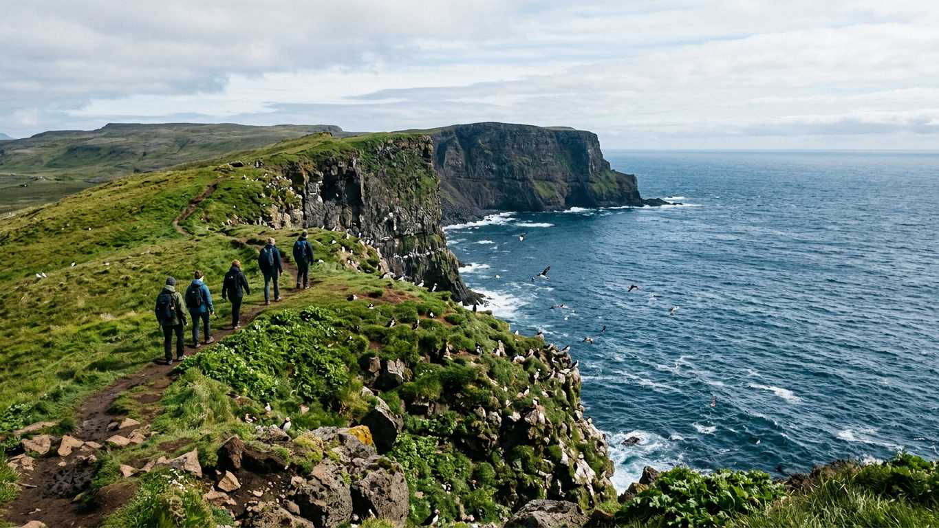 Puffin Watching in Iceland: Where and When to See Them